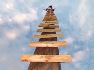 Ladder to the sky. All metaphorical for the CPD process, innit